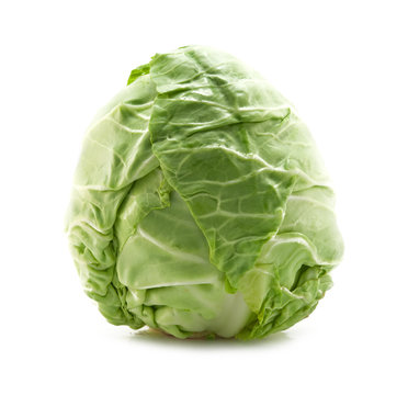 fresh cabbage isolated