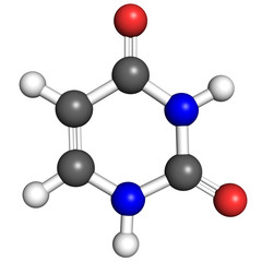 Uracil molecule