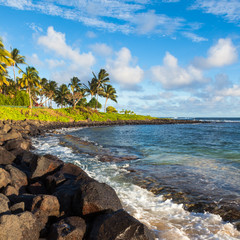 Fototapeta na wymiar Piękne Kauai Beach