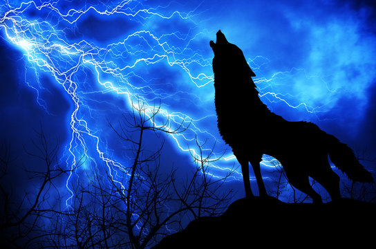 wolf in silhouette howling to thunderstorm