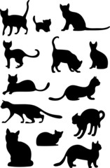 cat set