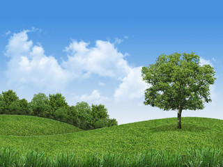 Fototapeta na wymiar Green landscape 