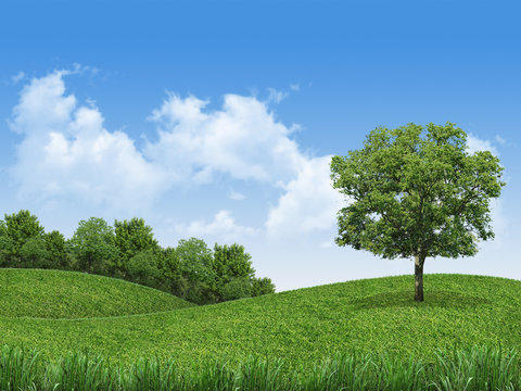 Green landscape 