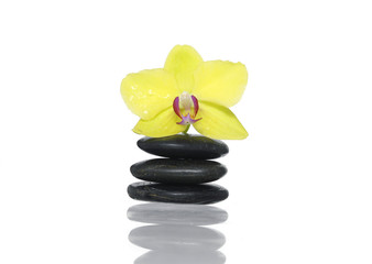 Isolated Stack of Stones with orchid decoration