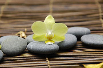 Fototapeta na wymiar Makro z orchidei z kwiatów suszonych płatków i kamienie na macie