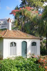 Fototapeta premium jardin à madere