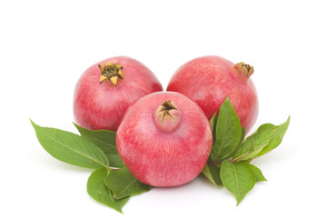 fresh pomegranate