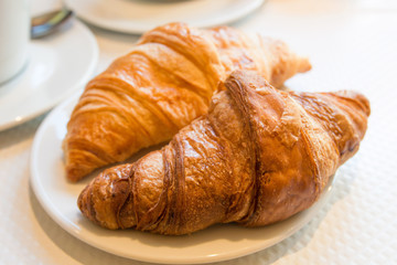fresh croissant