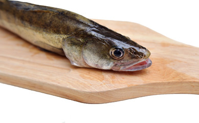 fresh fish on the board