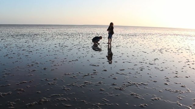 Kinder im Wattenmeer