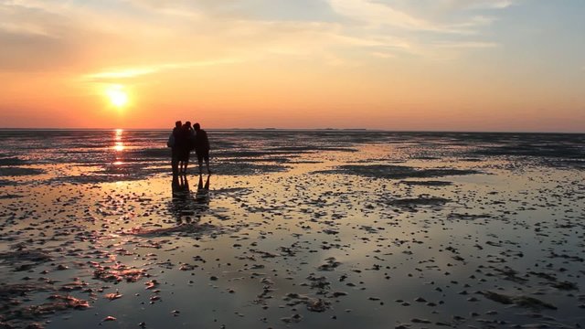 Wattwanderung an der Nordsee
