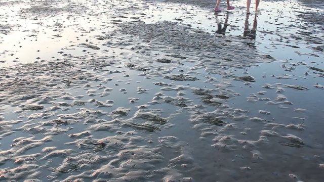 Wattenmeer in Nordfriesland
