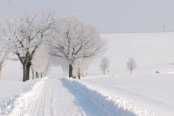 Obraz premium Winterstraße