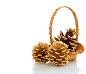 pine cones in a basket