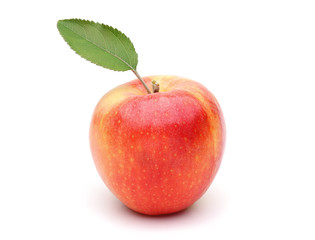 Gala Apple