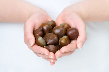 sweet chestnuts