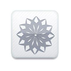 white Snowflake icon.