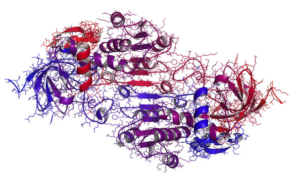 Alcohol dehydrogenase (ADH) enzyme molecule, chemical structure.