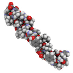 Glucagon-like Peptide 1 (GLP-1) molecule, chemical structure