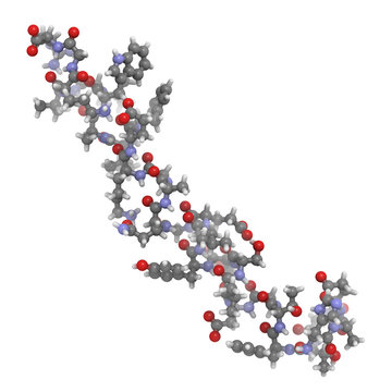 Glucagon-like Peptide 1 (GLP-1) molecule, chemical structure