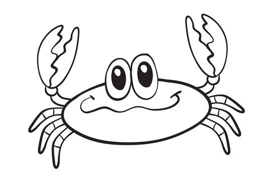 a crab