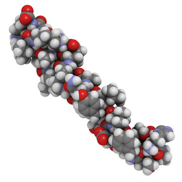 Glucagon-like Peptide 1 (GLP-1) molecule, chemical structure