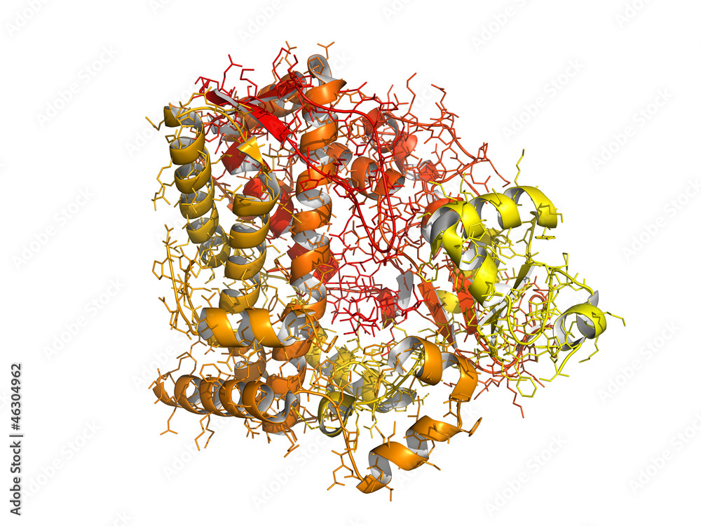 Sticker Cytochrome p450 protein, chemical structure.