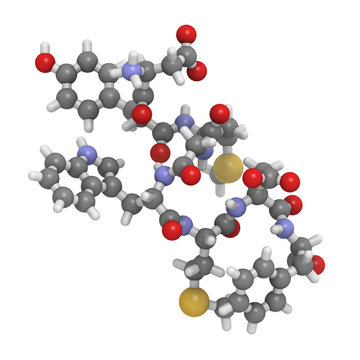 Cholecystokinin-8 (CCK8) peptide molecule, chemical structure