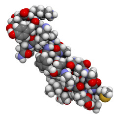 Beta-endorphin, chemical structure.