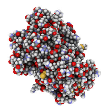 cyclic ADP ribose hydrolase (CD38) protein, chemical structure