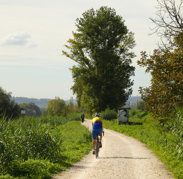 Ciclista Al Parco Delle Cascine, Firenze