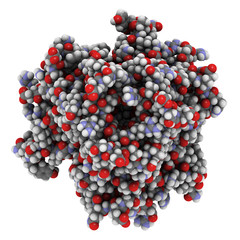 Tumor necrosis factor (TNF, cachexin, cachectin), chemical struc
