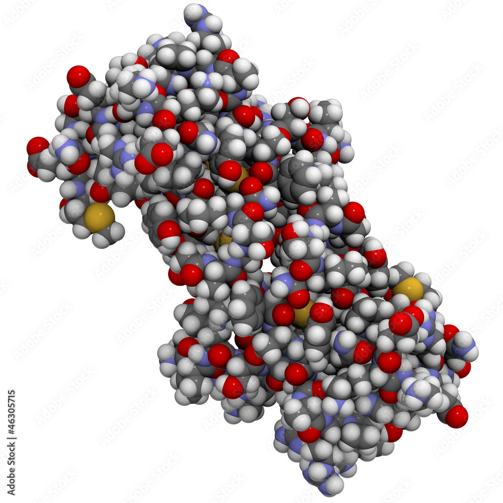 Poster rantes (ccl5) protein molecule, chemical structure