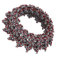 Salmonella needle complex, chemical structure