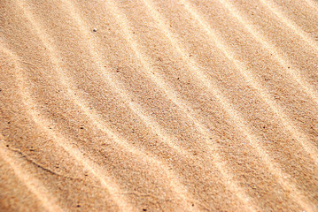Fototapeta na wymiar Tło piaszczysta plaża z falami erozją wietrzną