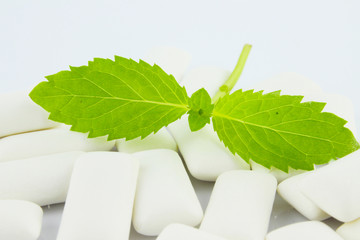 Mięta © katherine_gee