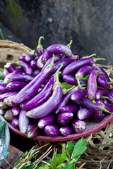 Schale mit frischen Auberginen
