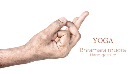 Bhramara mudra