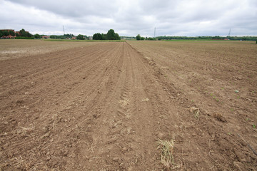 campo arato