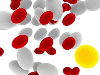 yellow bacteria make of difference