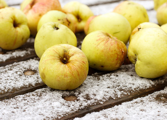 apple on snow