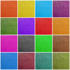 Fototapeta premium colorful leather art