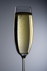 Sektglas vor grauem Hintergrund