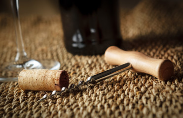 Closeup of corkscrew and cork