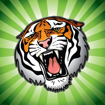 Isolated tiger head - vector background