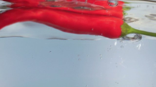 Chilischote