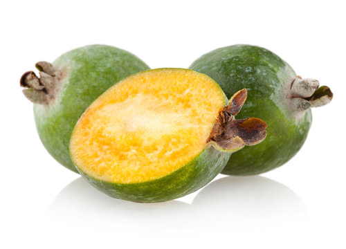 Feijoa