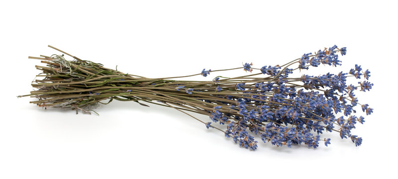 Dried Lavender Isolated  On White Background