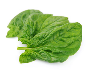 Fototapeta premium Spinach