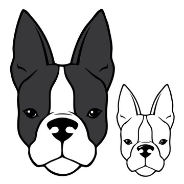 French bulldog head - vector illustration